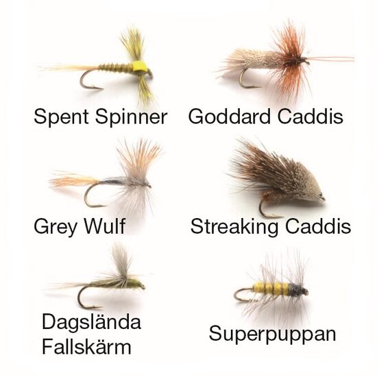 Darts DRY FLIES 2 #14