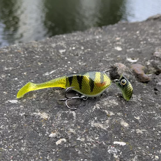 Headbanger SHAD 110mm/11g
